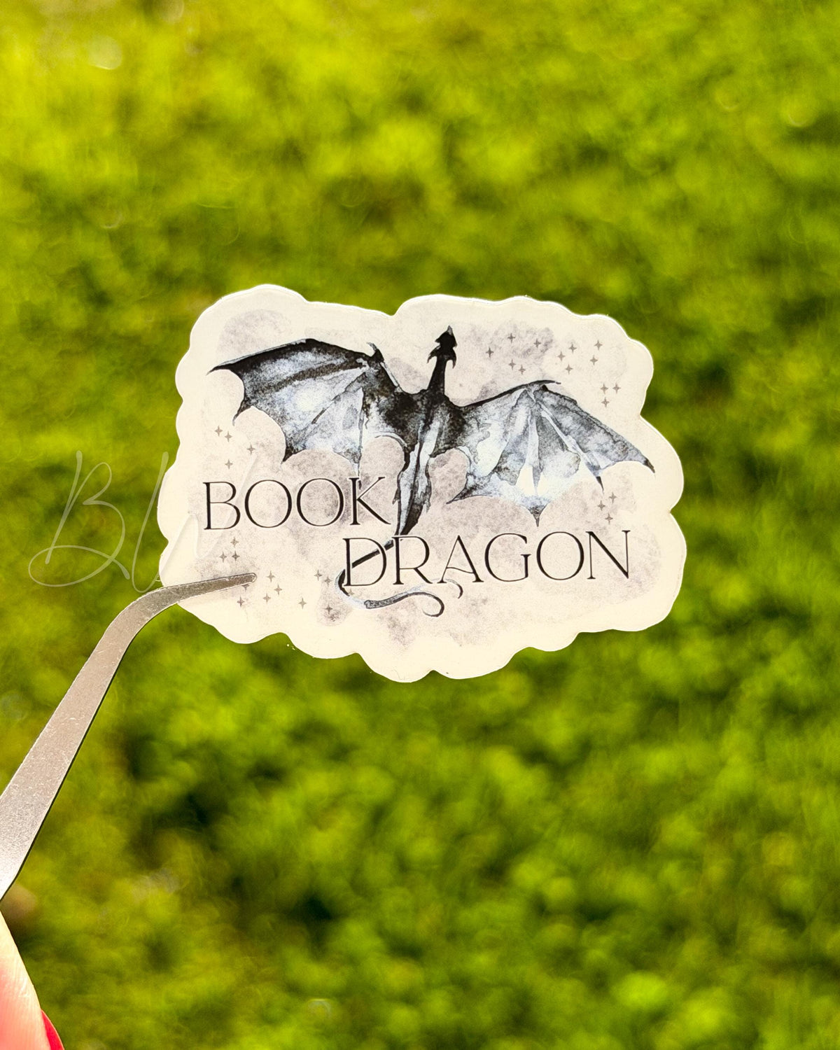 Sticker featuring the text 'Book Dragon'
